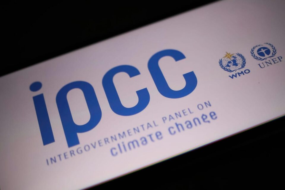 「自然界的 IPCC」瞄準企業界：IPBES 將發布重大生物多樣性評估報告 (“IPCC for Nature” targets Business: IPBES to unveil major biodiversity report)